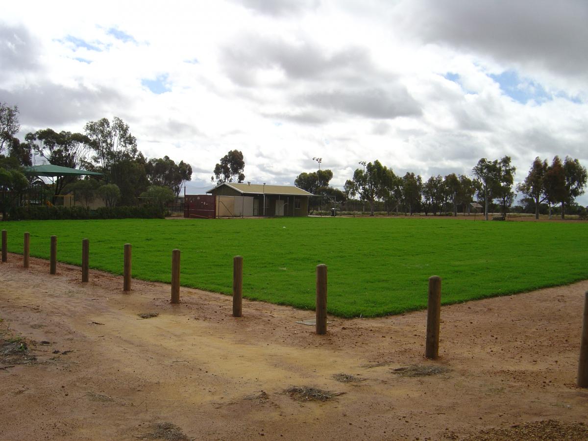 Yuna Oval grass